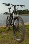 nicolai9.jpg