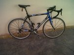 orbea2.jpg