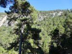DSC01411.JPG