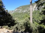 DSC01412.JPG