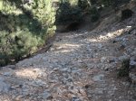 DSC01410.JPG