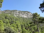 DSC01206.JPG
