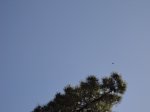 DSC01212.JPG
