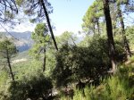 DSC01202.JPG