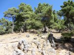 DSC01204.JPG