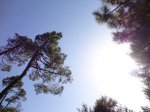 DSC01211.JPG