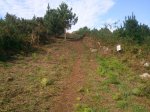Foto1716.jpg