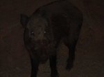 DSC01146.JPG