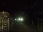 nocturna_010.JPG