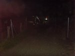 nocturna_011.JPG