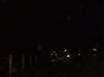nocturna_005.JPG