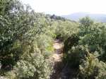 Foto0013.jpg