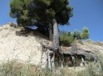 CIMG0273a.jpg