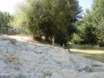 CIMG0271a.jpg