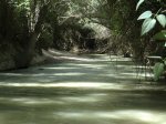 CIMG0283a.jpg