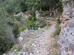 2011-08-16 17.17.50.jpg