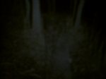 PICT0038.JPG