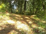 27082011010.JPG