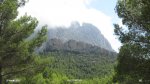 IMG_1679.jpg