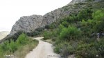 IMG_1657.jpg