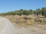 DSCN5748 - copia.JPG