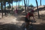FOTOS IBEX 219 (Large).jpg