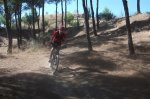 FOTOS IBEX 218 (Large).jpg
