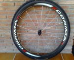 CORIMA 010 RED.JPG