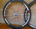 CORIMA 012  RED.JPG