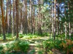 Foto19.JPG