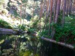 Foto18.JPG