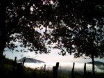 PICT0017.JPG