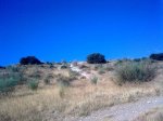 28082011_023.jpg