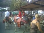 IMG00239-20110818-1946 - copia.jpg