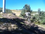 DSC00217.JPG