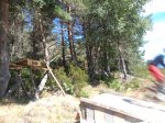 DSC00256.JPG