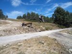DSC00260.JPG
