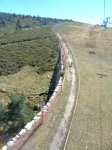 DSC00227.JPG