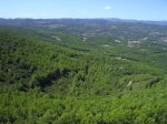 IMG_0083.JPG