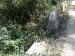 Imagen0231.jpg