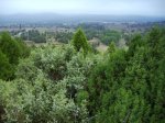 IMG_0008.JPG