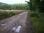 IMG_0015.JPG
