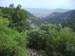 IMG_0011.JPG