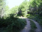 IMG_0005.JPG