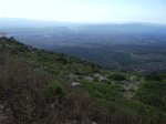 IMG_0002.JPG