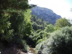 IMG_0012.JPG