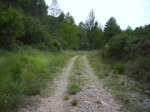 IMG_0025.JPG