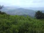 IMG_0023.JPG