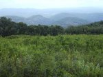 IMG_0022.JPG