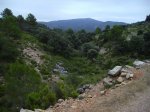 IMG_0001.JPG